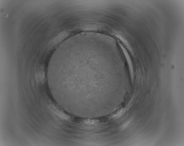 X0000063460261200601201253