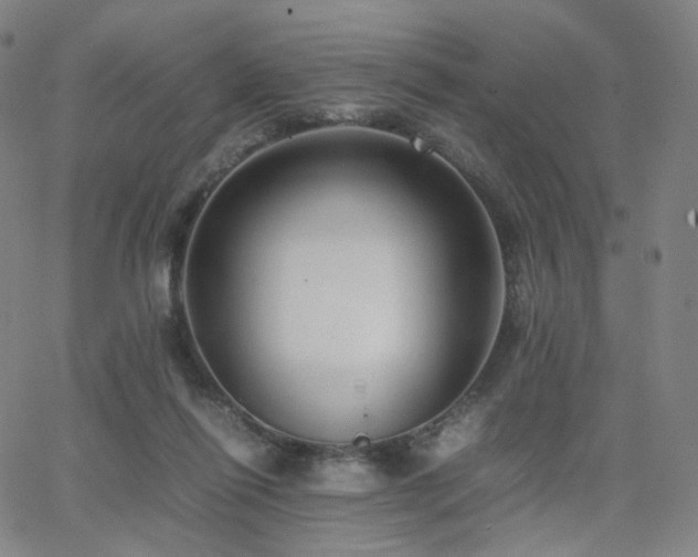 X0000063460262200601201253