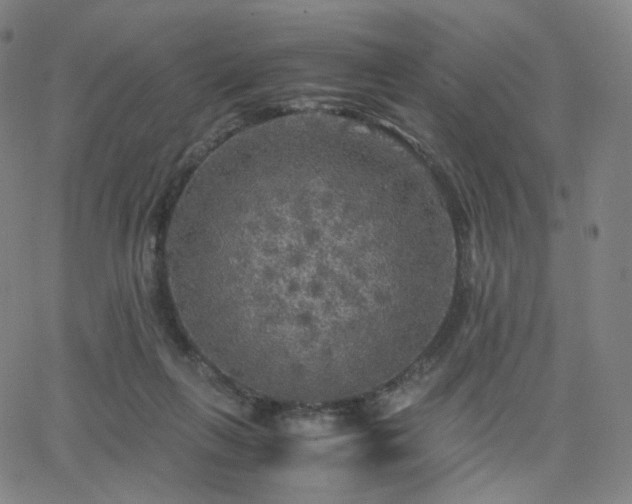 X0000063460263200601201253