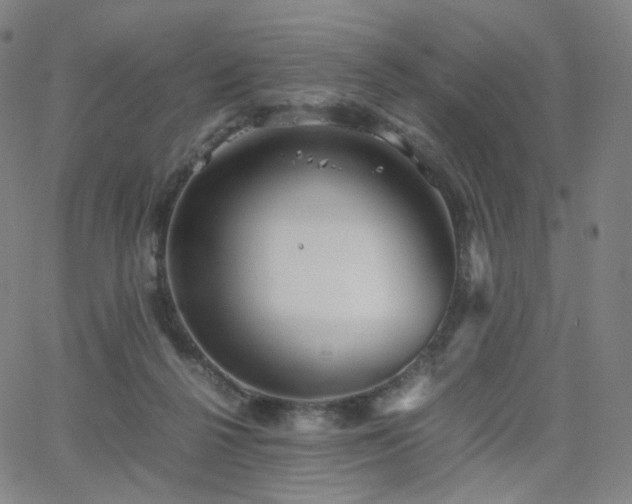 X0000063460264200601201253