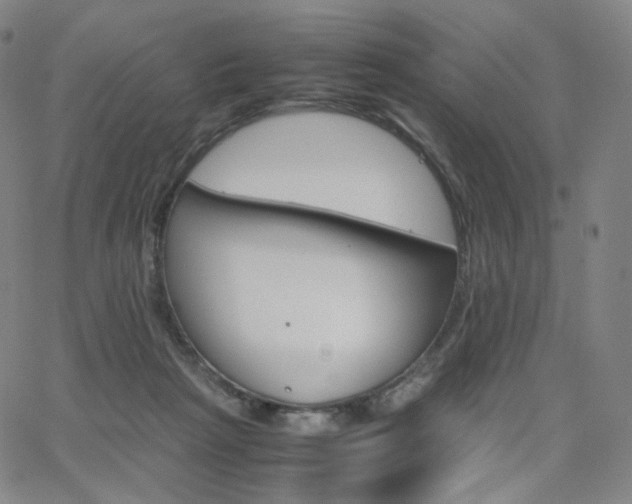 X0000063460265200601201253