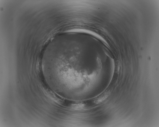 X0000063460266200601201253