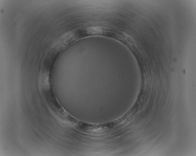 X0000063460267200601201253