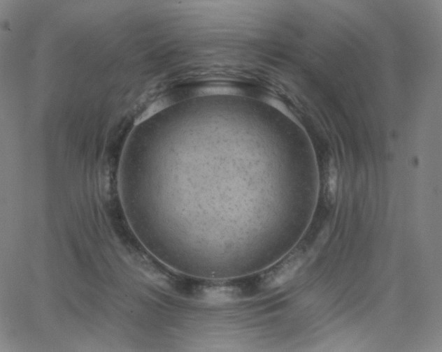 X0000063460268200601201253