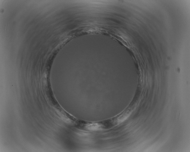 X0000063460269200601201253