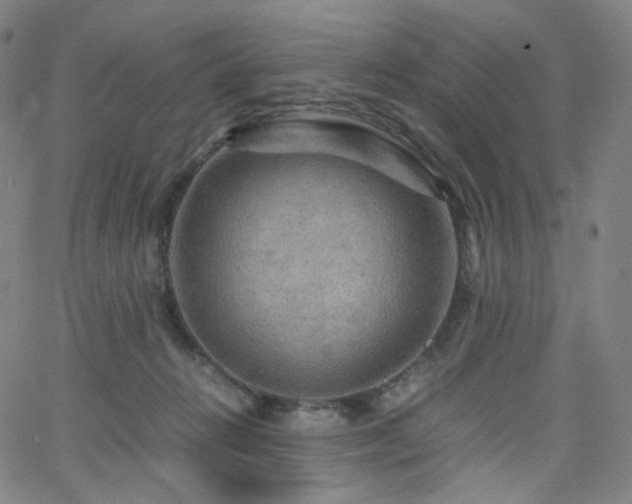 X0000063460270200601201253