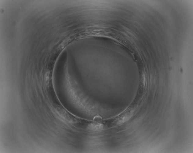 X0000063460271200601201253