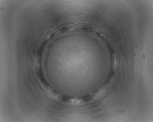 X0000063460272200601201253