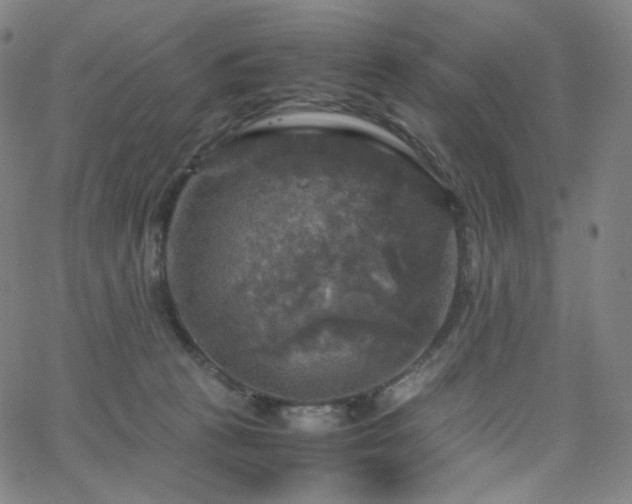 X0000063460273200601201253