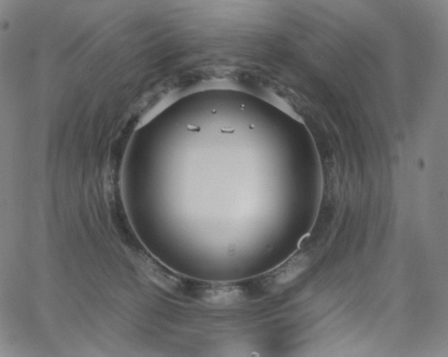 X0000063460274200601201253