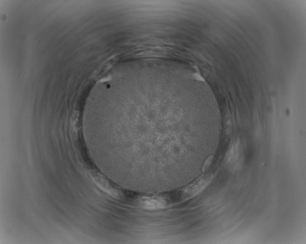 X0000063460275200601201253