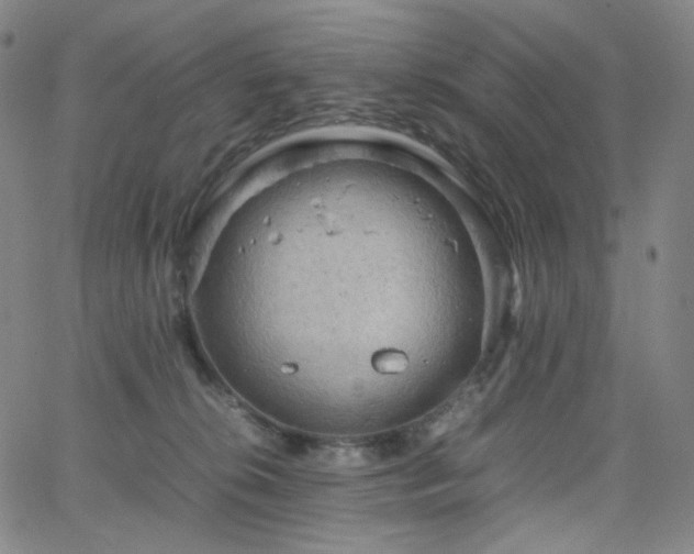 X0000063460276200601201253