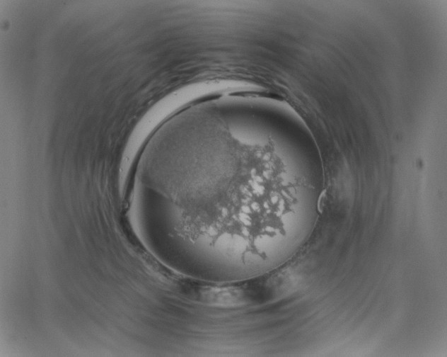 X0000063460277200601201253