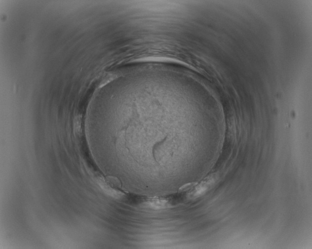 X0000063460278200601201253