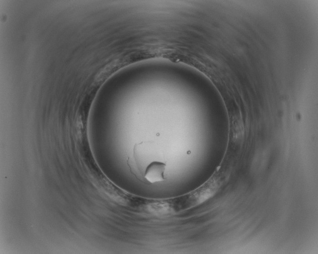 X0000063460279200601201253