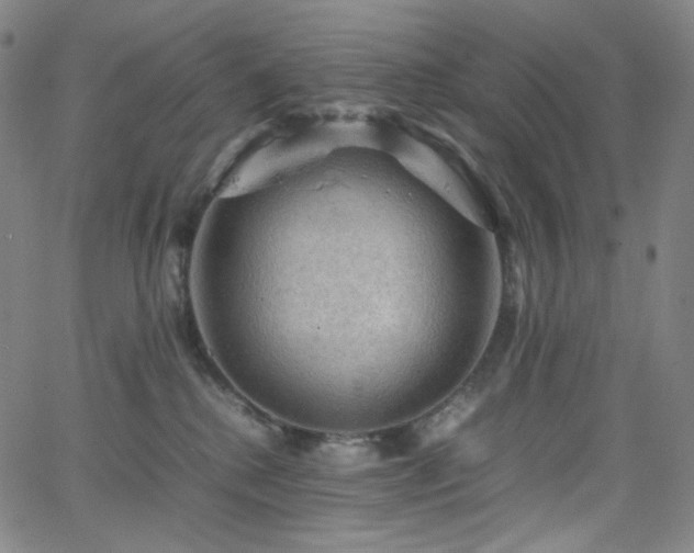 X0000063460280200601201253