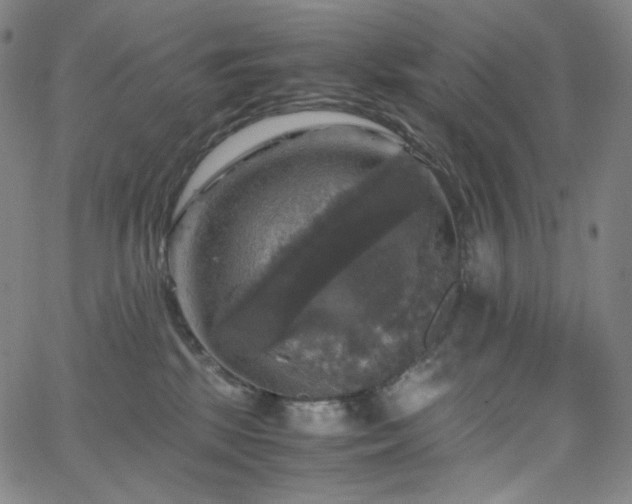 X0000063460281200601201253