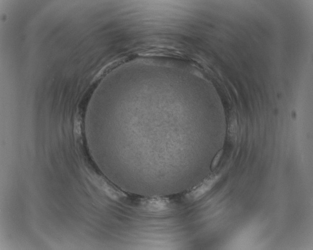 X0000063460282200601201253