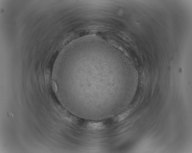 X0000063460283200601201253