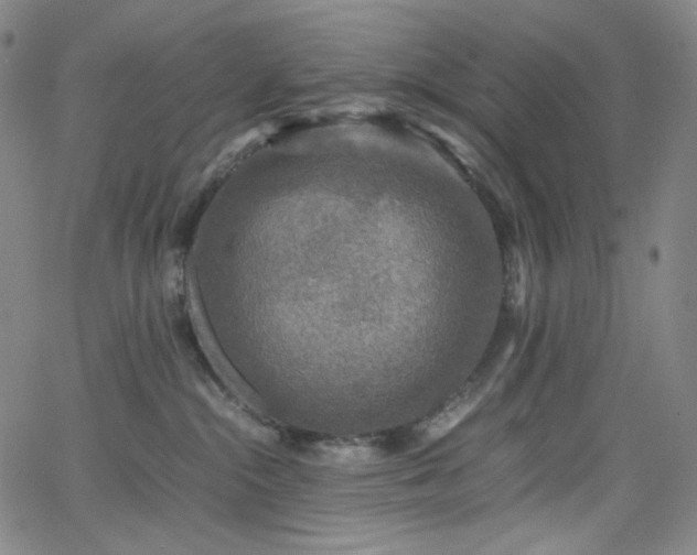 X0000063460284200601201253