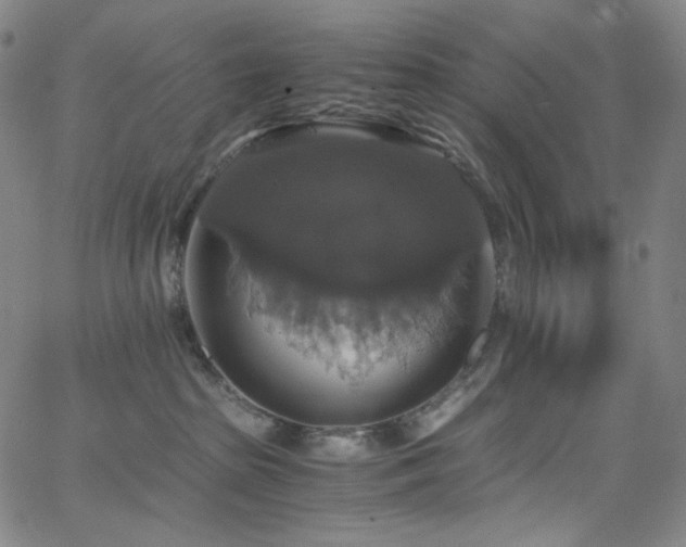 X0000063460285200601201253