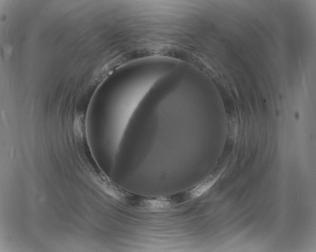 X0000063460286200601201253