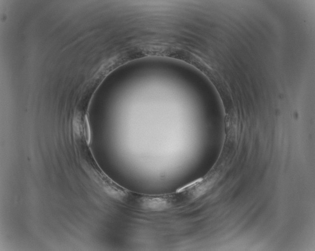 X0000063460287200601201254