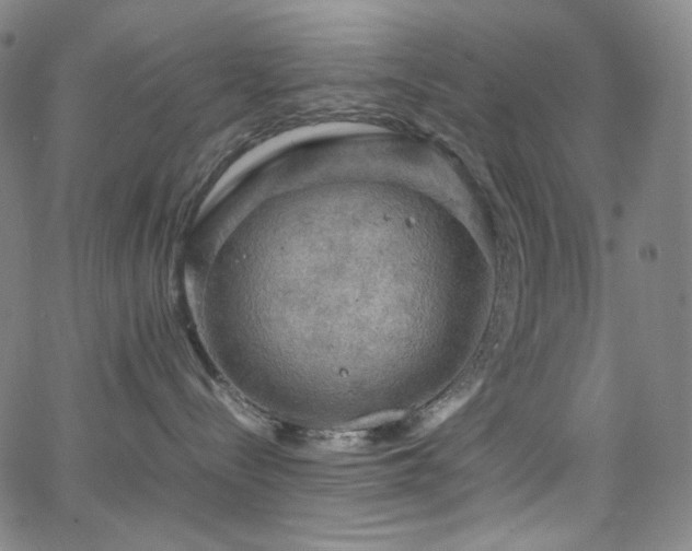 X0000063460288200601201254