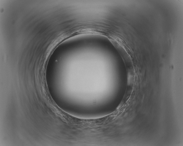 X0000063460289200601201253