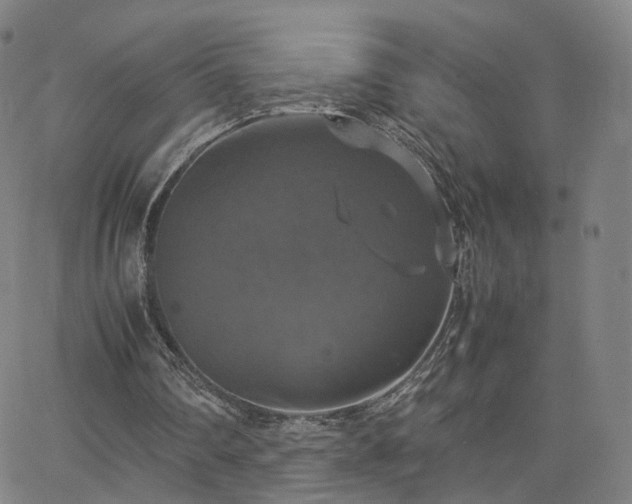 X0000063460290200601201253