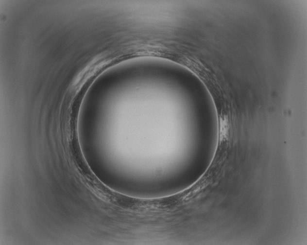 X0000063460291200601201253