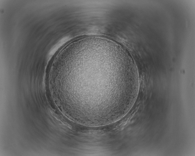 X0000063460292200601201253