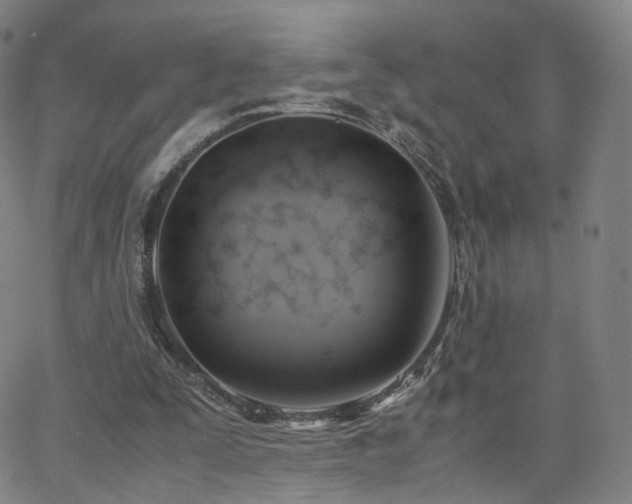 X0000063460295200601201253