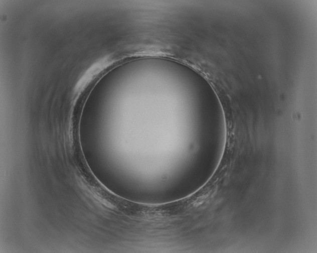 X0000063460296200601201253