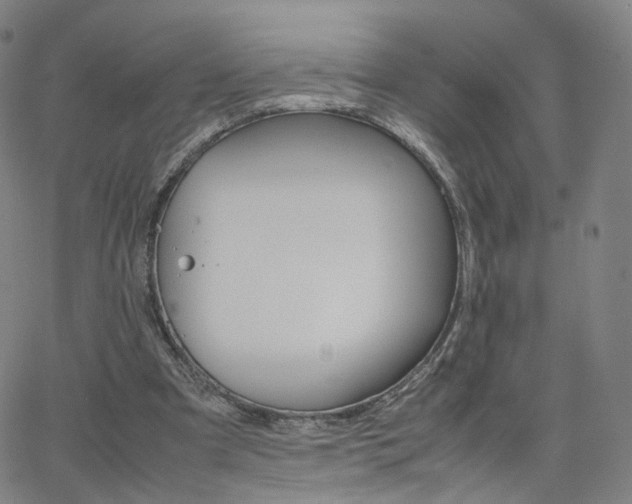 X0000063460297200601201253