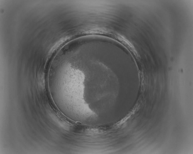 X0000063460298200601201253