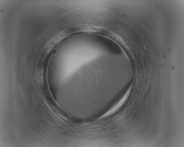 X0000063460299200601201253