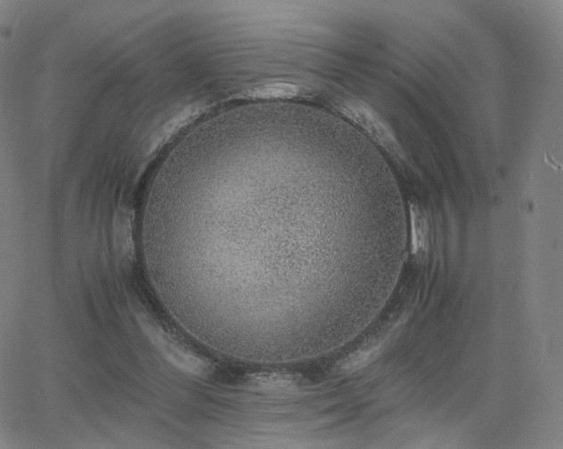 X0000063460300200601201253