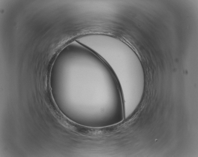 X0000063460301200601201253