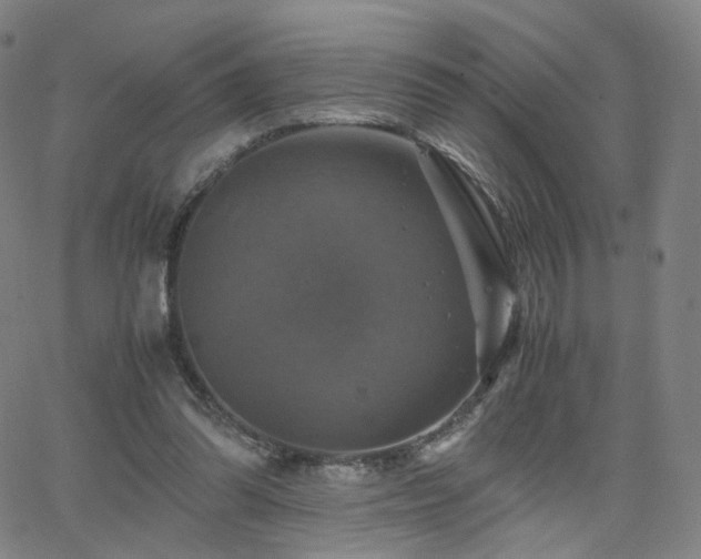 X0000063460302200601201253