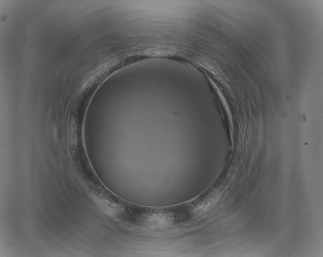 X0000063460303200601201253