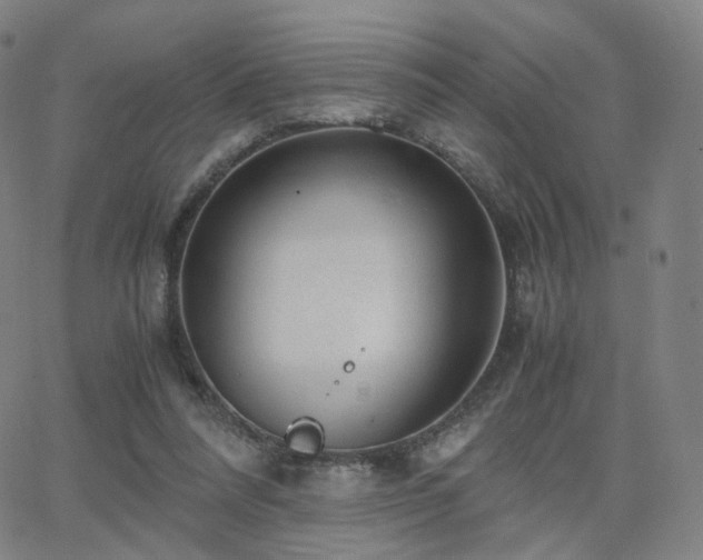 X0000063460304200601201252