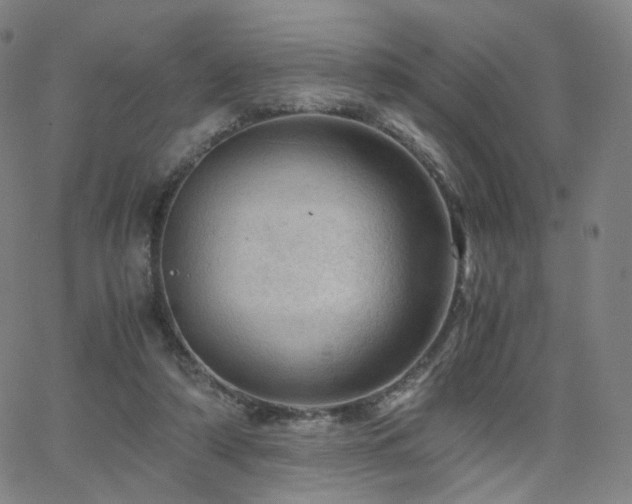 X0000063460306200601201252