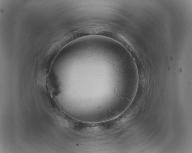 X0000063460307200601201252