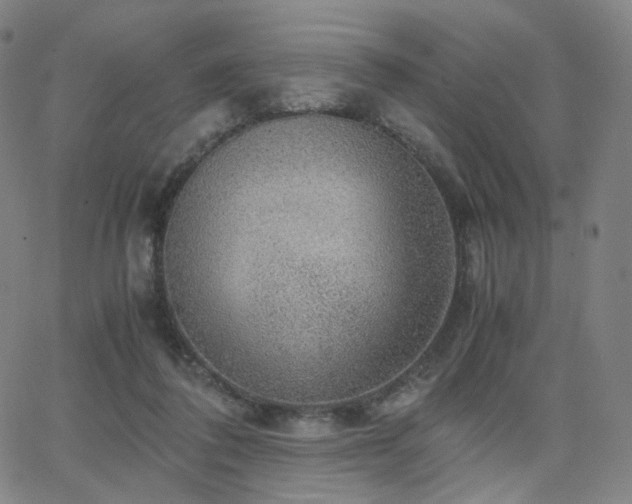 X0000063460308200601201252