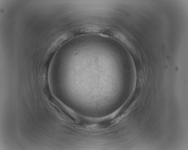 X0000063460309200601201252