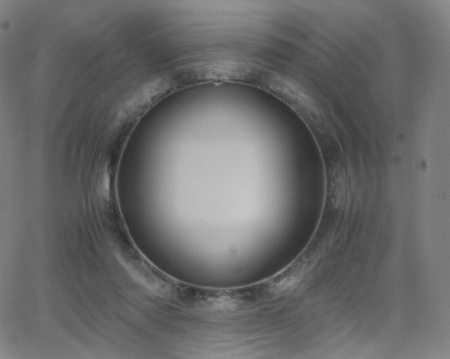 X0000063460310200601201252