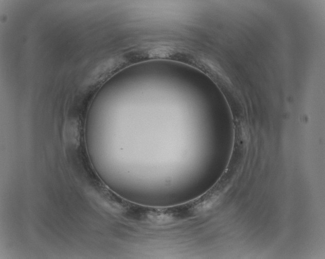 X0000063460311200601201252