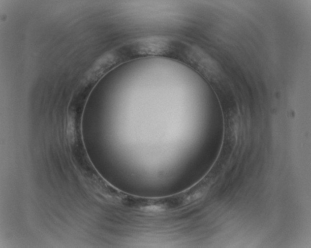 X0000063460312200601201252