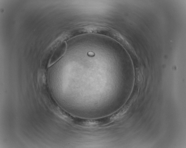 X0000063460313200601201252